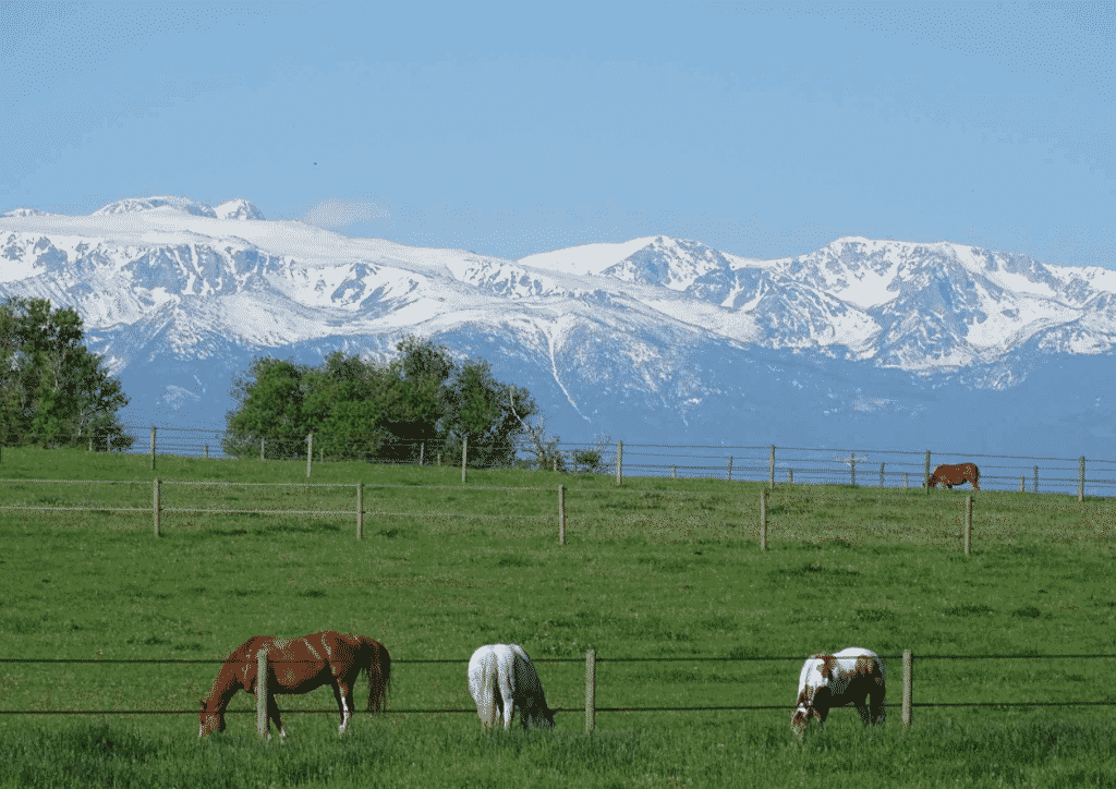 What’s Happening In Ranch Sales in Montana?